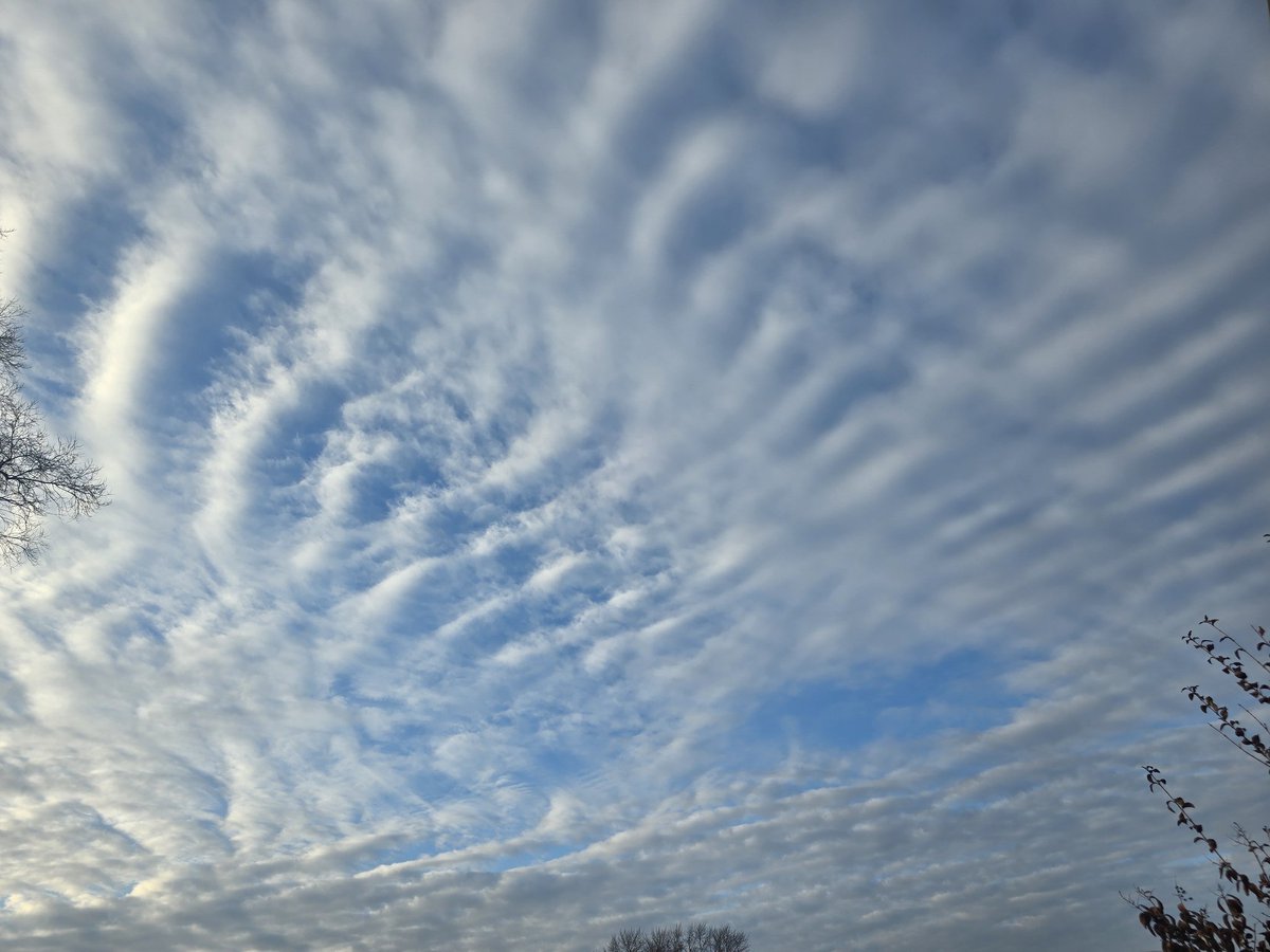 Jesse Lynn♥️ tweet media