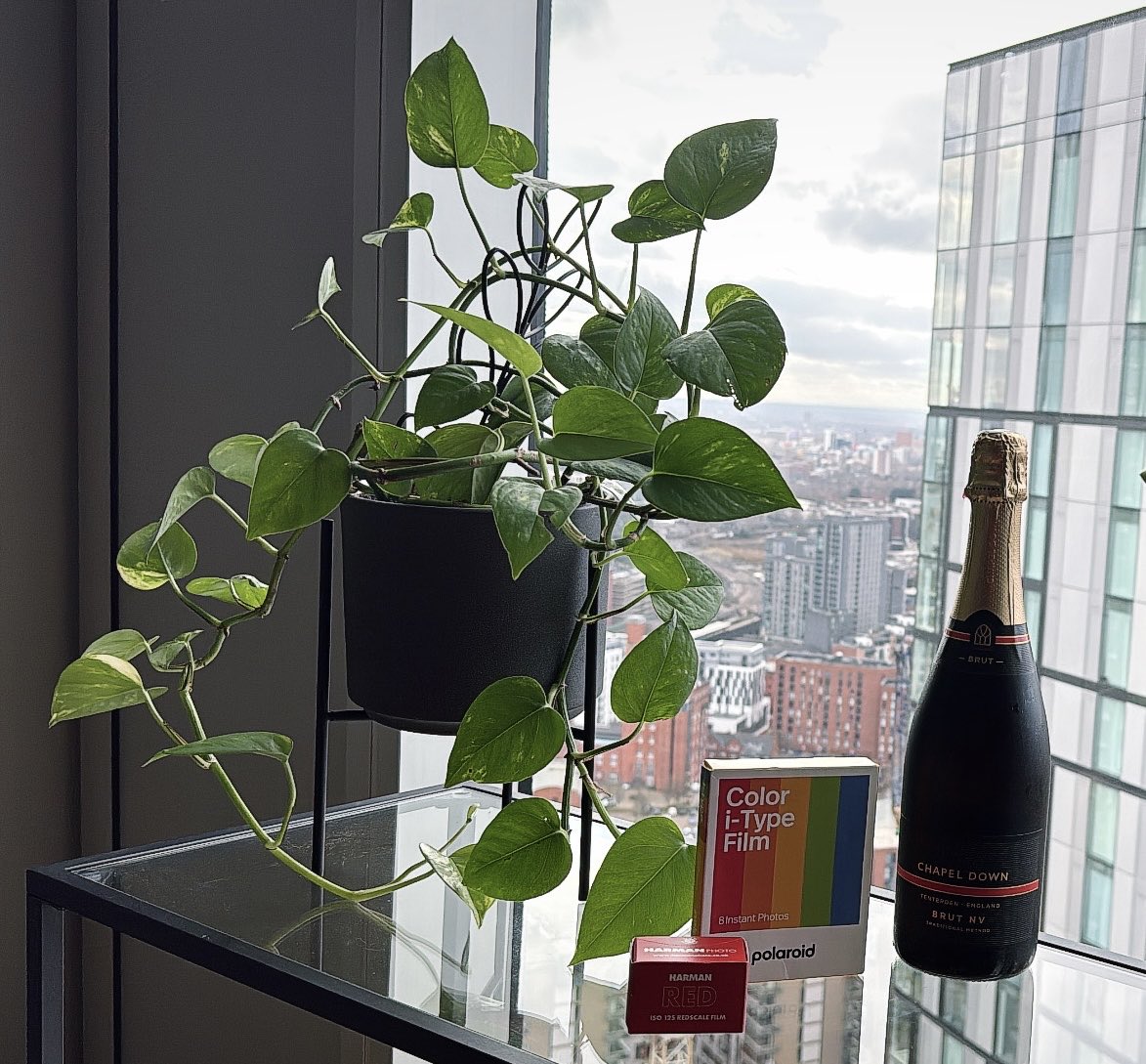 Miss.Viktoria.Quinn tweet media