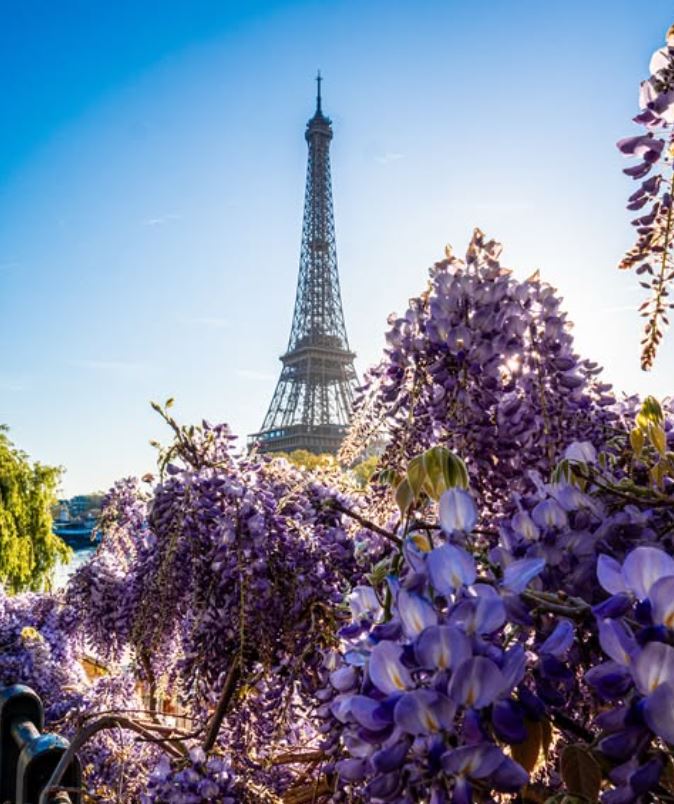 VIParis's tweet image. Think spring...#Paris #Travel #EiffelTower #Tuesday #France #Flowers #Architecture #Parisjetaime 📸 petch77 IG  💖💞