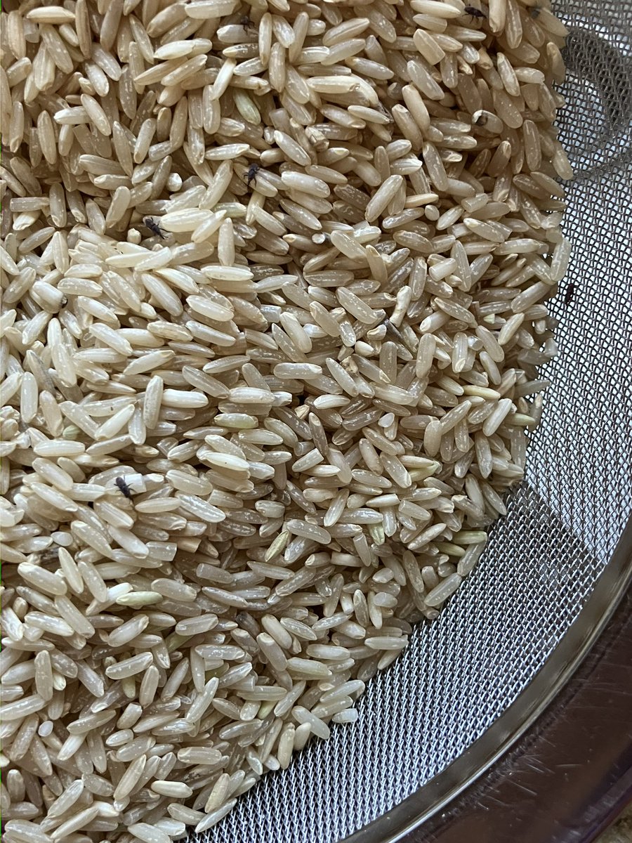 ReneeNesbit tweet media