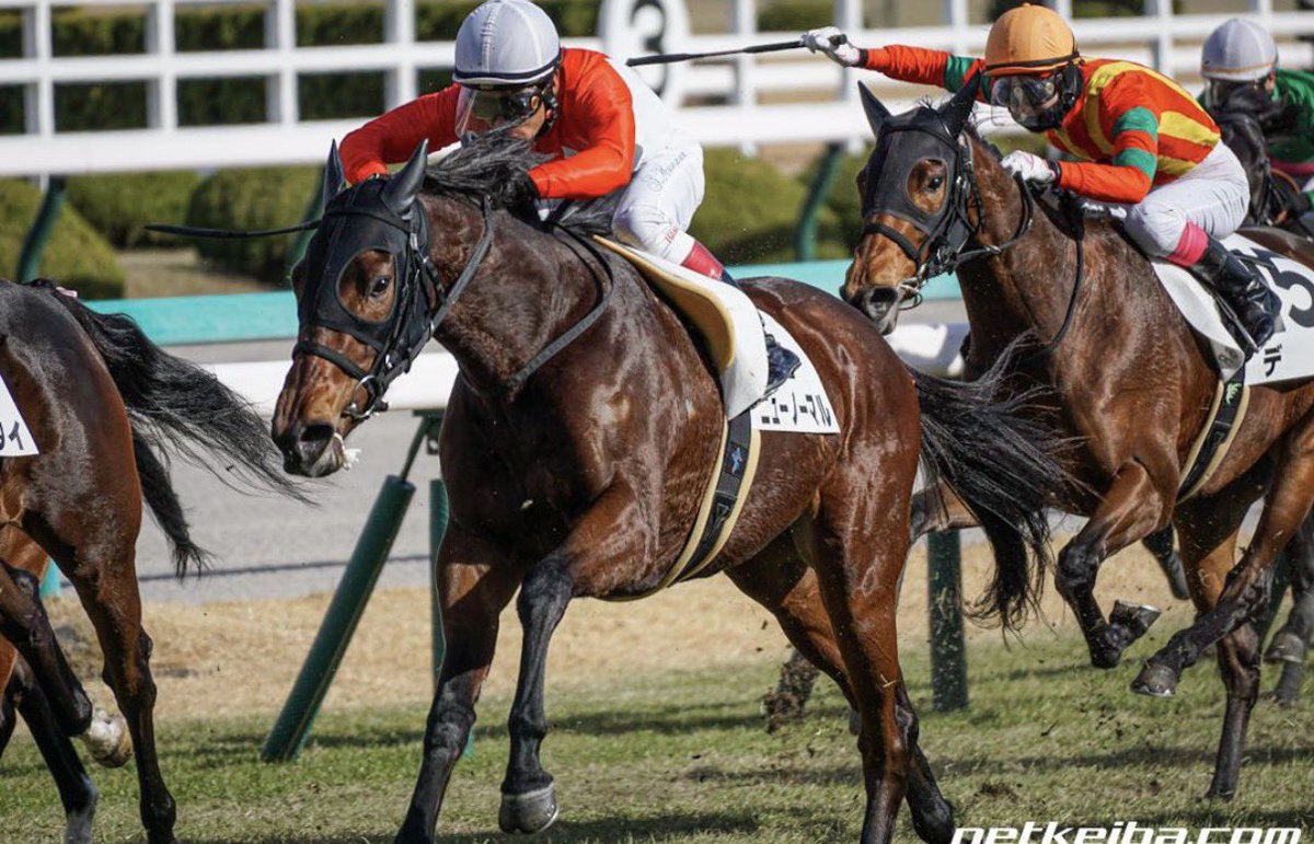 フィールドレーシング tweet media