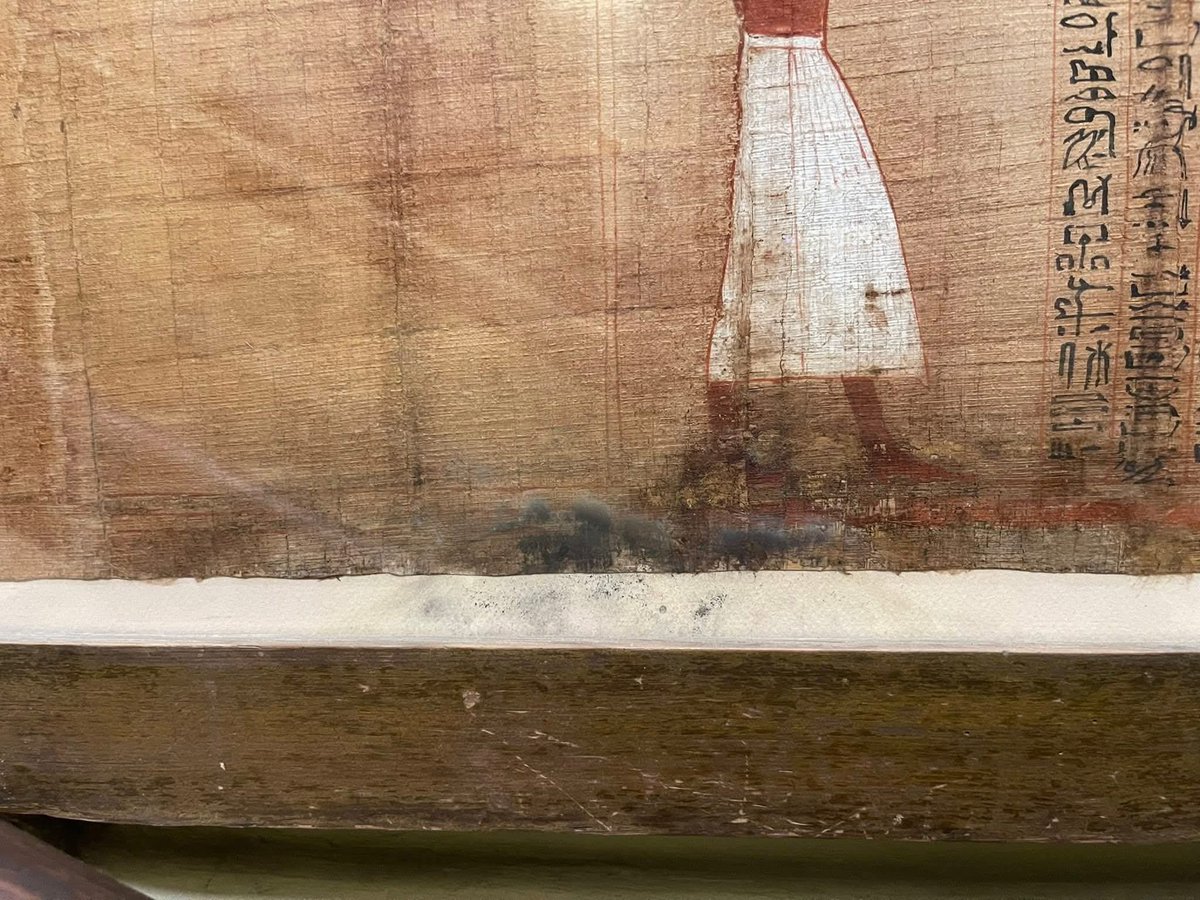 𓂀 Nefertiti : Nile Tales 𓅓 tweet media