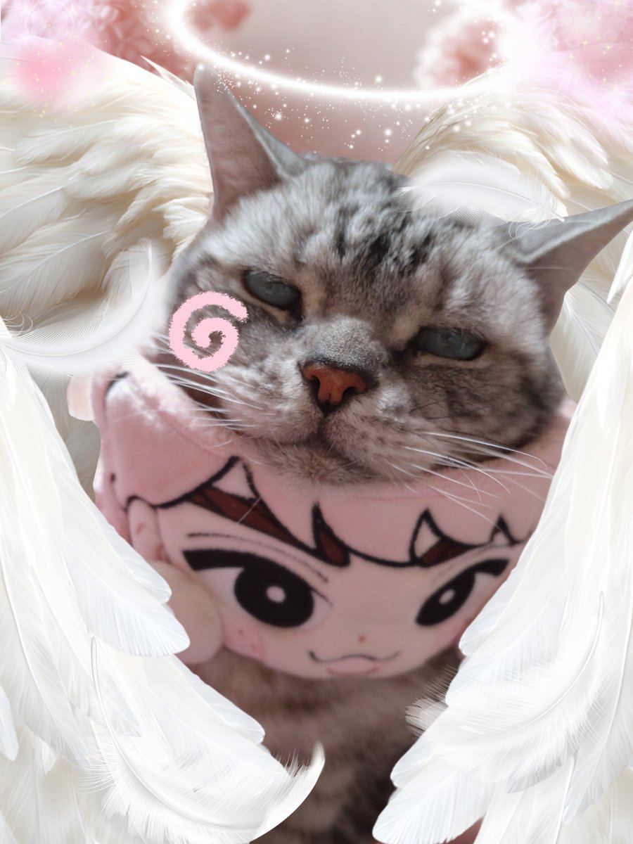 宇宙-sora-そぅちゃん (@soranosuke29) / Posts / X