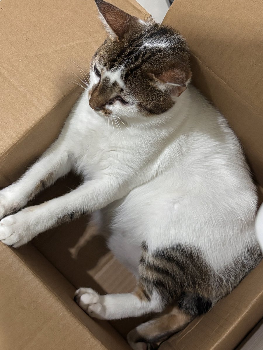 Cimoy🦭 tweet media