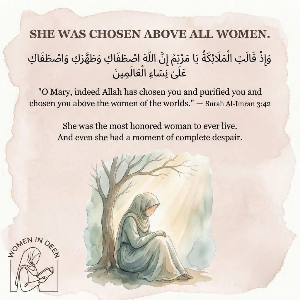 Astridueil's tweet photo. The most honored woman in the Quran once wished she was dead. If she was allowed to feel that — so are you. https://t.co/rNzYReYEG8