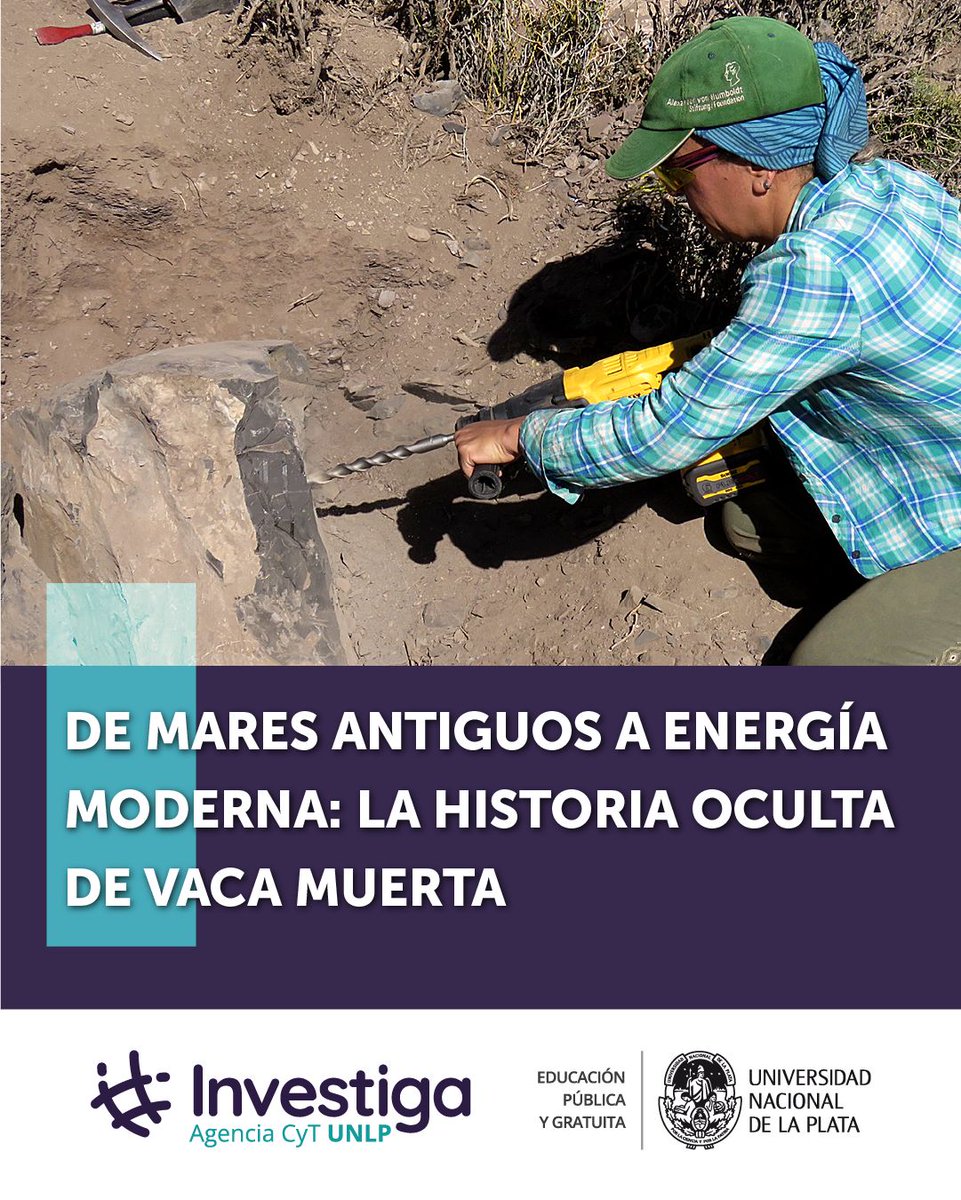 UNLP Investiga tweet media