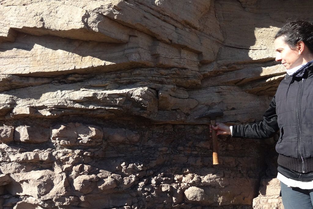 UNLP Investiga tweet media