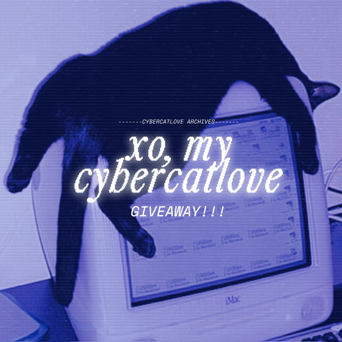 goodbye, my kitties! 🐈‍⬛ tweet media