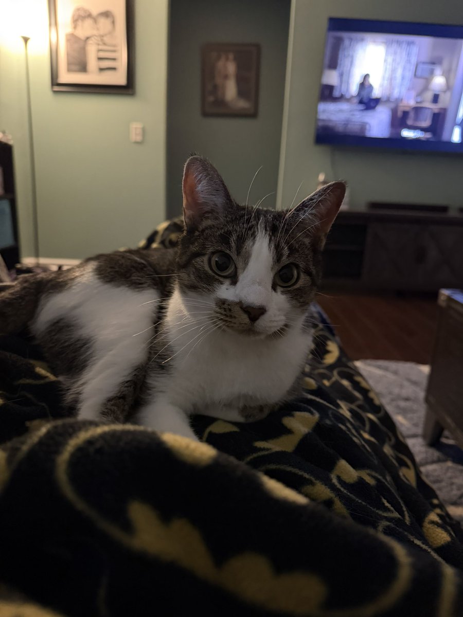 Linkin 💙Annie🌈 tweet media