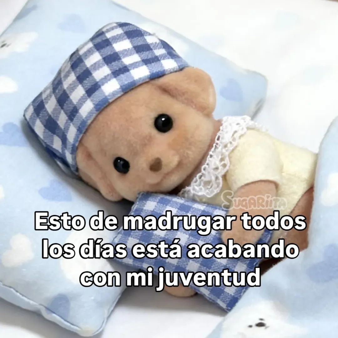 En Júpiter (@en_jupiter_) on Twitter photo 