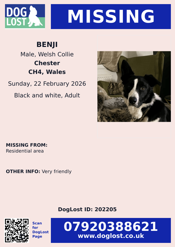 If you see BENJI
• Do not chase
• Keep him in sight if safe
• Report the sighting immediately using the link below

Please also
• Check fields, footpaths &amp; farms
• Ask neighbours &amp; dog walkers if they’ve seen him
• Review CCTV or doorbell footage
doglost.co.uk/dog/202205