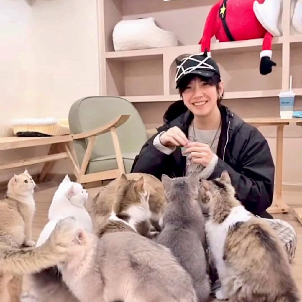 They fell in love with him that day🥹😻🐱🐾

#BuildJakapan
