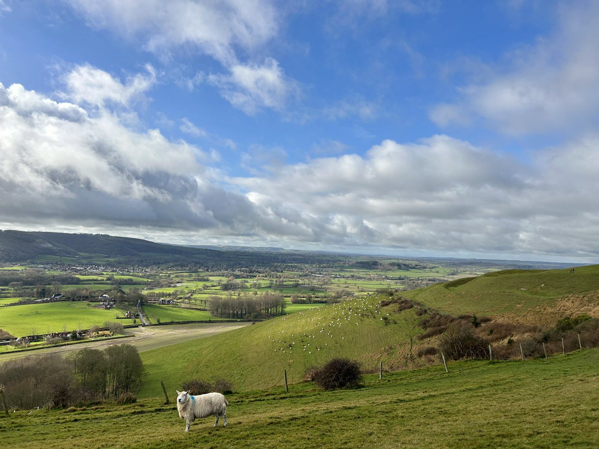 Yorkshire Wolds Weather tweet media