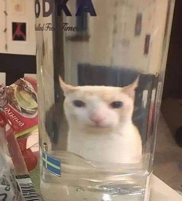 Punch Cat (@punchingcat) on Twitter photo 