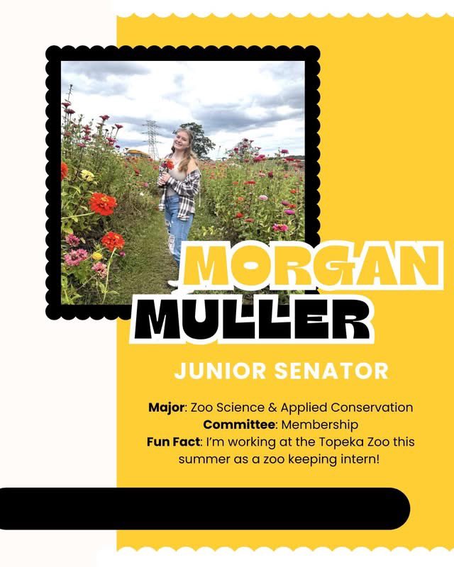 WLU Student Government tweet media