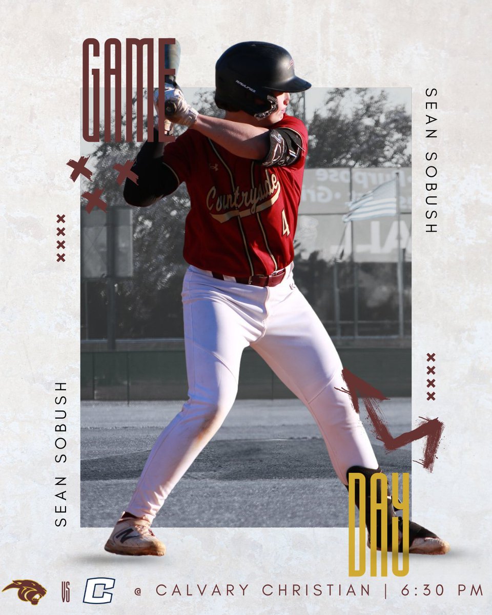 Countryside Baseball tweet media