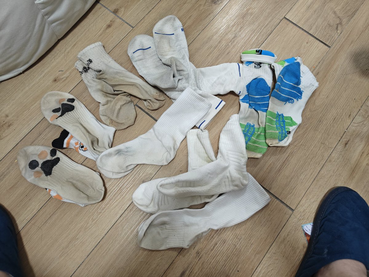 秋米⭐→绒爪兽聚 tweet media