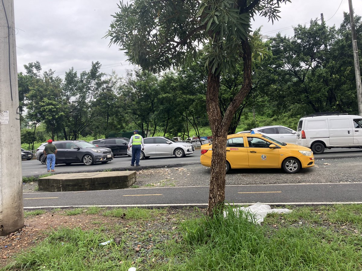 GAP571's tweet photo. @InfoViaLaCosta Mientras este vigilante está cazando patos o espantándose los mosquitos en la entrada y salida de #puertoazul la gente se desbaratan en el tráfico 🤷🏻♂�� https://t.co/QyRqv3phRd