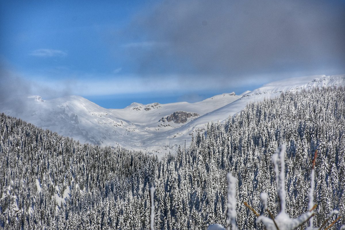 RNP_Romsilva's tweet photo. Iarna transformă Parcul Natural Bucegi într-un peisaj spectaculos, protejat prin activități permanente de conservare.
#Romsilva #Bucegi #NaturaRomaniei https://t.co/2GcqQ604MZ