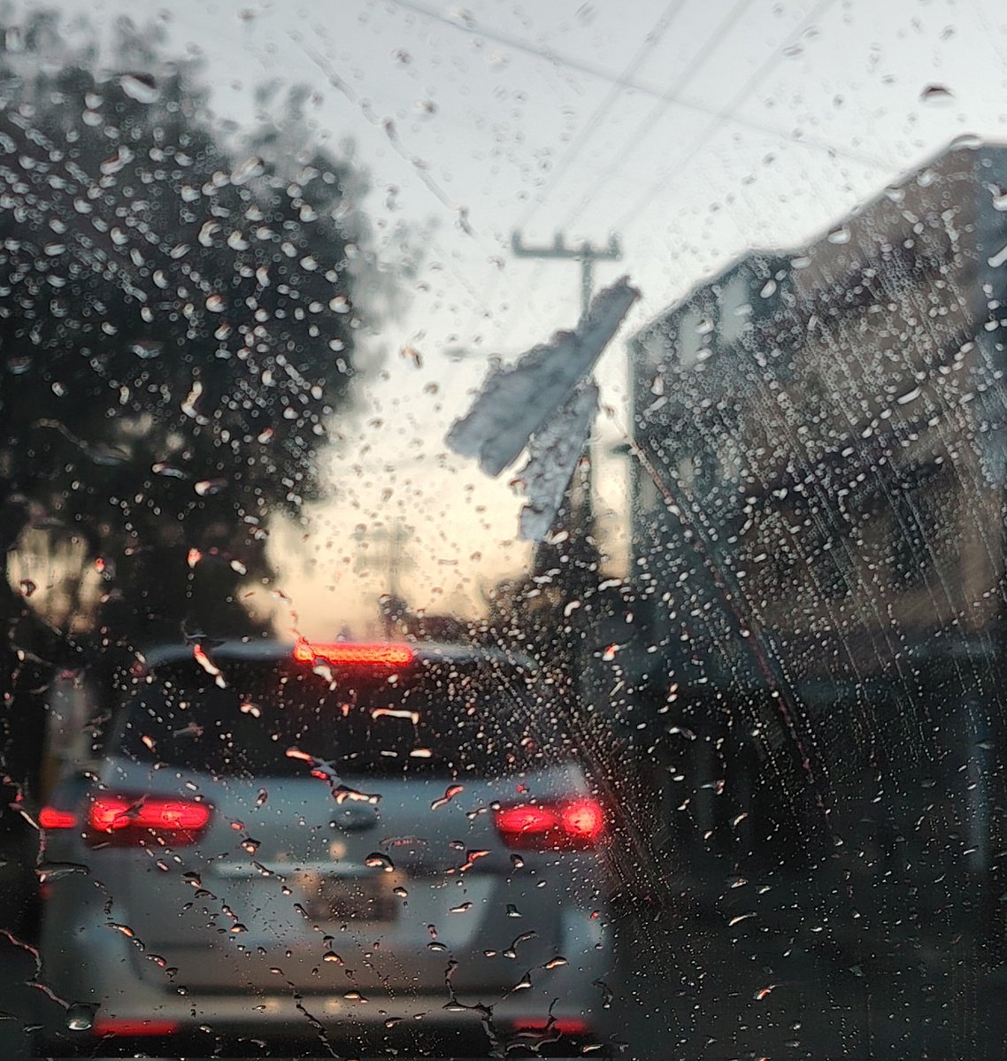 #Buenas y frías mañanas, hasta hielo me tocó ❄️