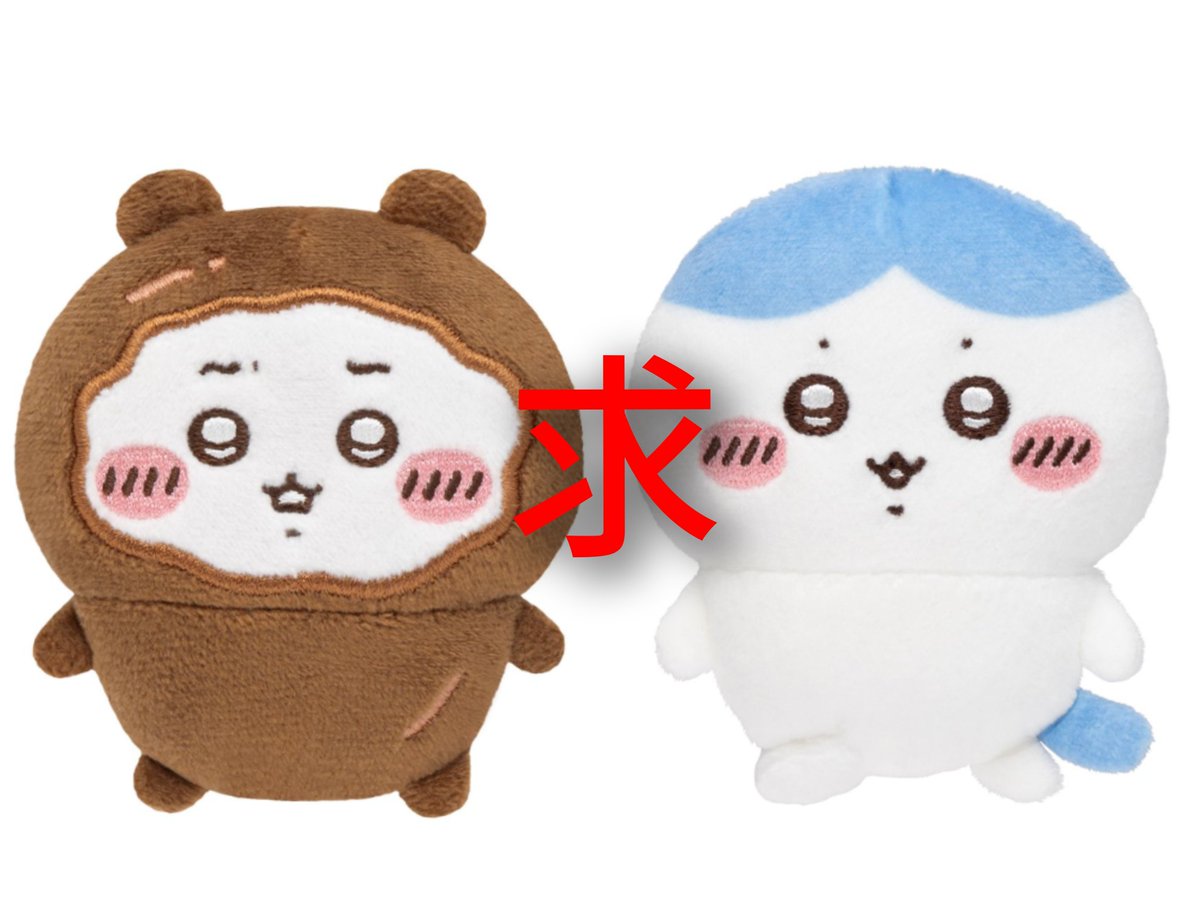 🐰ぶぶ🐰 tweet media