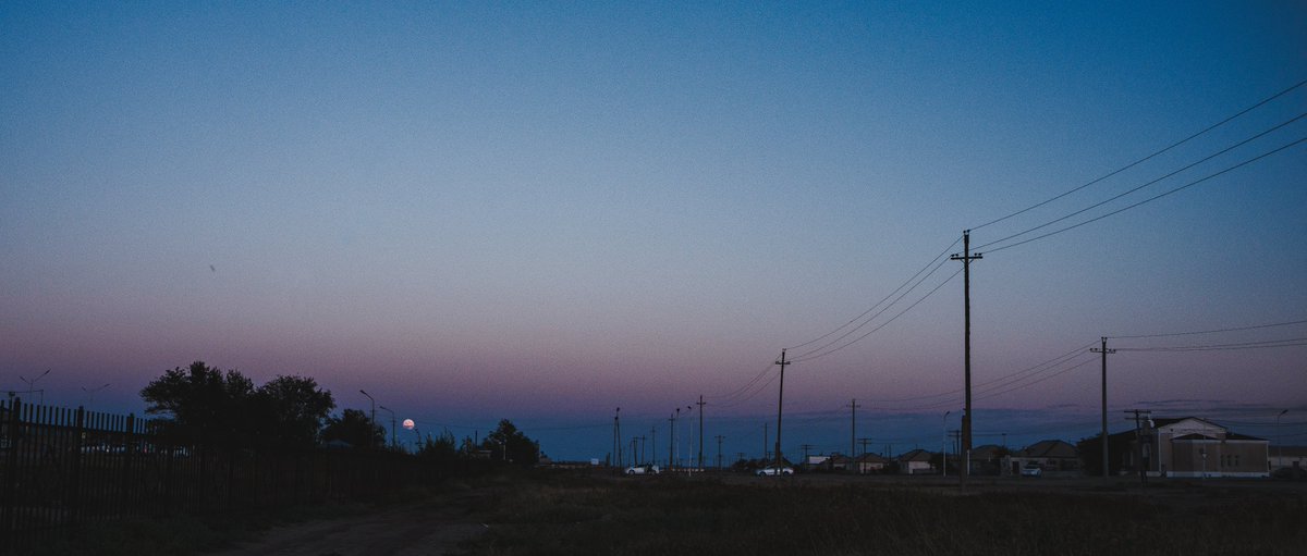 ひなた tweet media