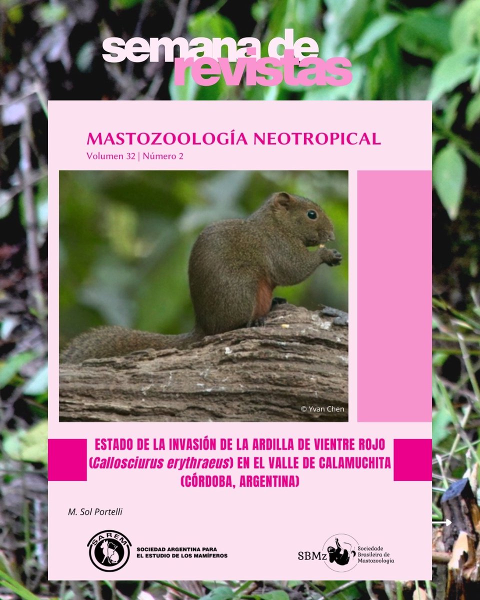 Mastozoologia Neotropical tweet media