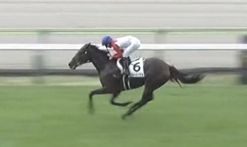 フィールドレーシング tweet media