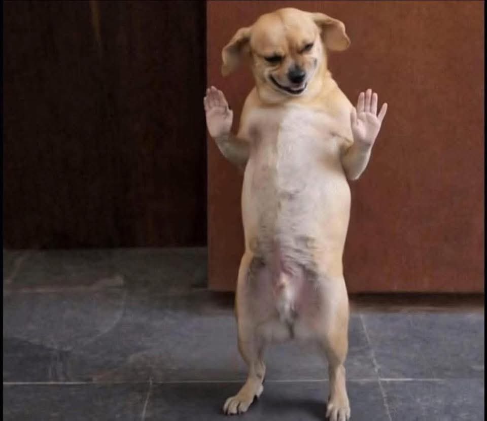 I follow back immediately I notify . No stress