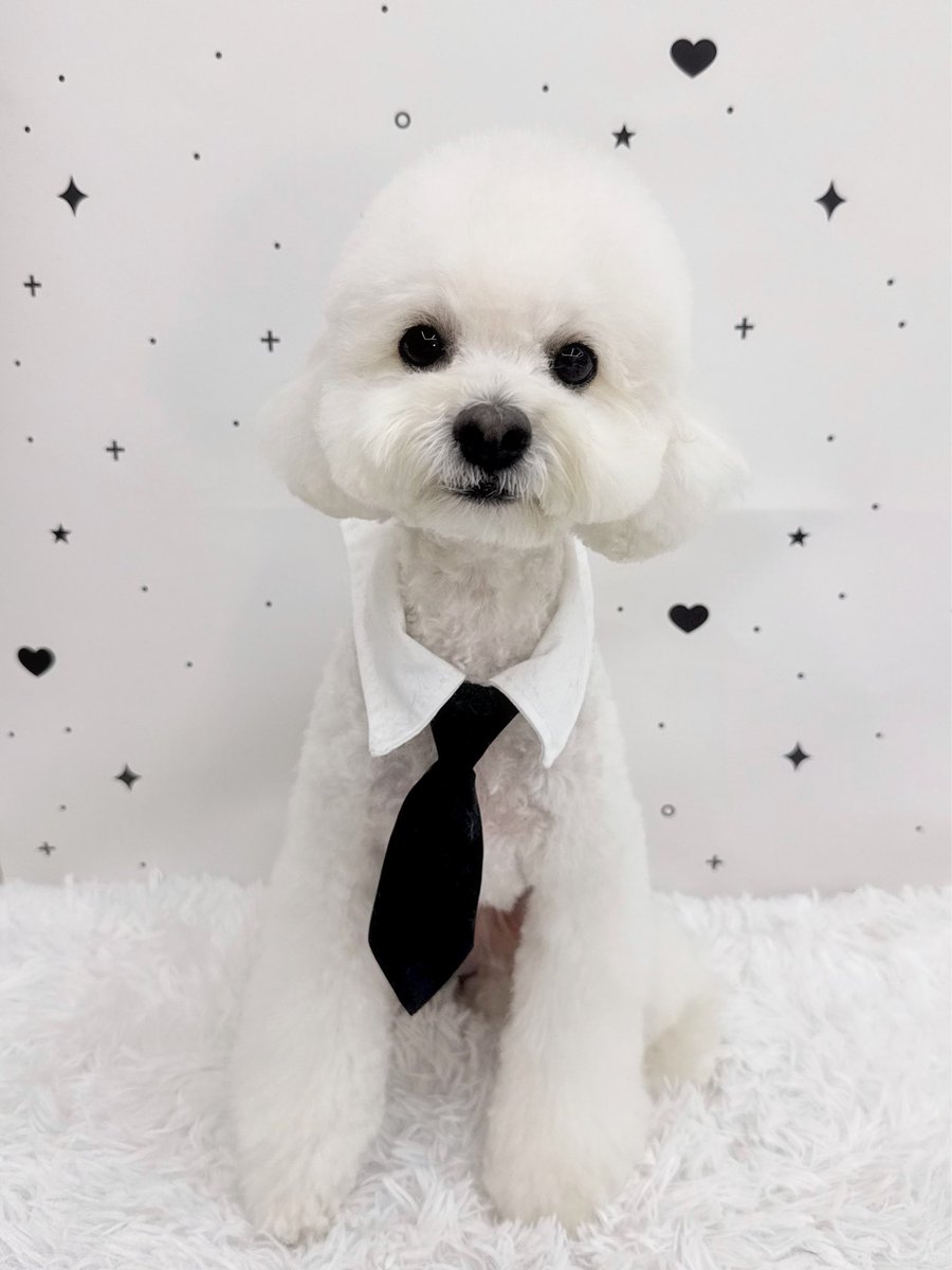 260224 🦖💌 fromm 
#BX #비엑스 #병곤 #CIX #씨아이엑스  

🦖: I’ll have one video call with Badu
and then I should go to sleep.
🦖: Lee Badu.
🦖: What’s Lee Badu been up to lately??
🦖: Wait.
🦖: 📷 Badu studying while taking a walk with mom
🦖: 📷 Lee Badu’s recent grooming
🦖: