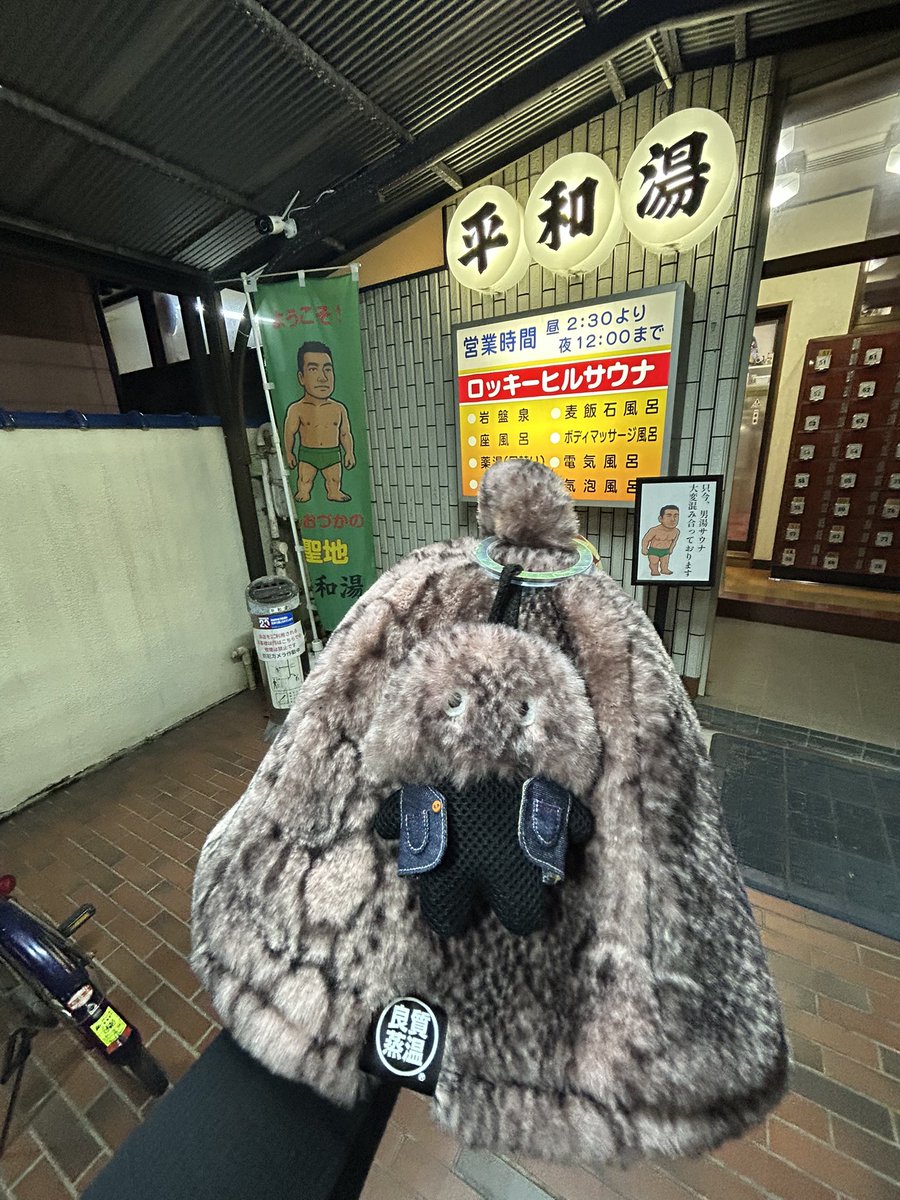 ひぃちゃん (@h_i_i_c_h_a_n) / Posts / X