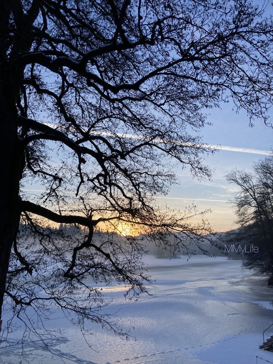 ManuelaMravlak's tweet photo. Endless magic and beauty…✨
#NaturePhotography #Austria 🇦🇹
@StormHour @ThePhotoHour #Tree 🌲
#ThickTrunkTuesday #Fog #FogIsMagic 🌫️
#TuesdayFeeling #TuesdayBlue 💎 https://t.co/LXyW1TJ2BK