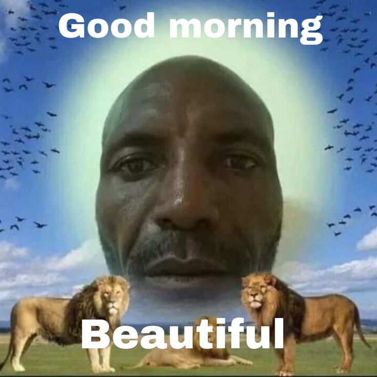 GM!!