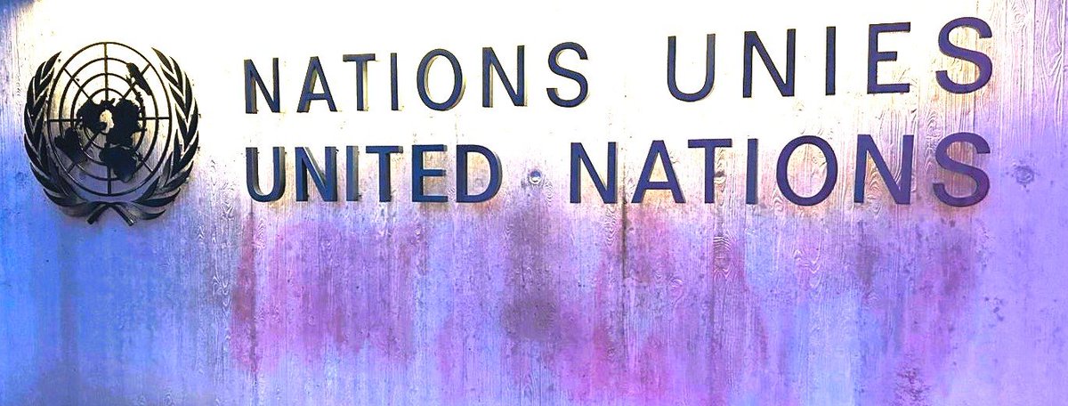 CyprusInGeneva's tweet image. #HRC #panel on gender mainstreaming #CY stressed that #FGM represents a grave form of #GBV &amp;amp; an attempt to eliminate women’s bodily &amp;amp; sexual autonomy. Digital solutions should aim to educate &amp;amp; protect the physical integrity &amp;amp; autonomy of all women.