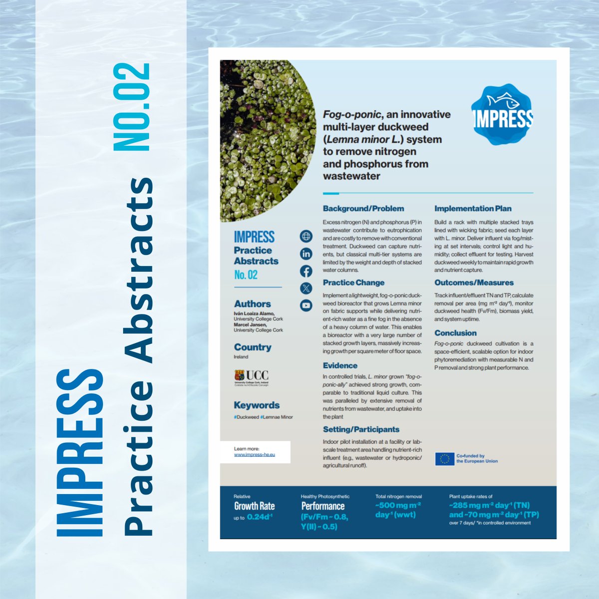 IMPRESS EU tweet media