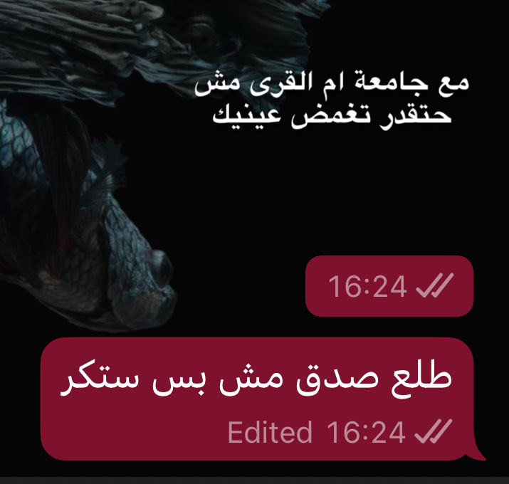 إيـسـار tweet media