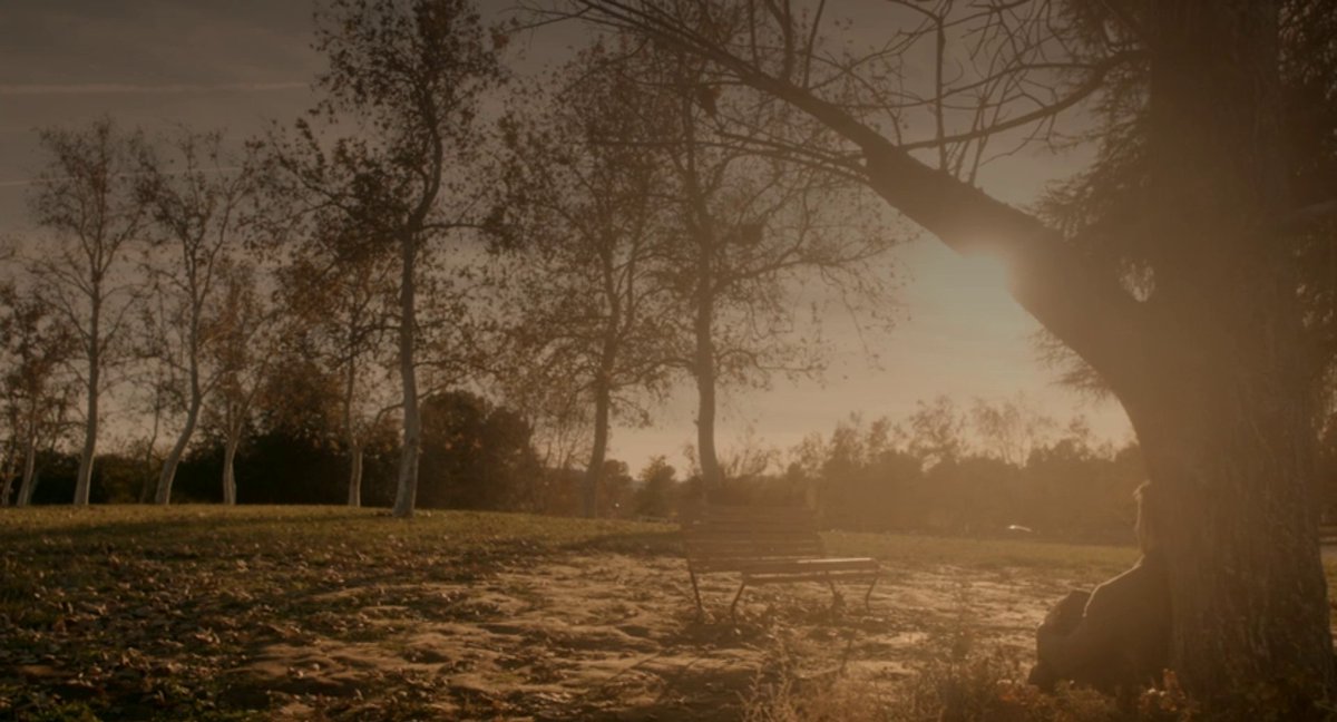 This Is Us Brasil tweet media