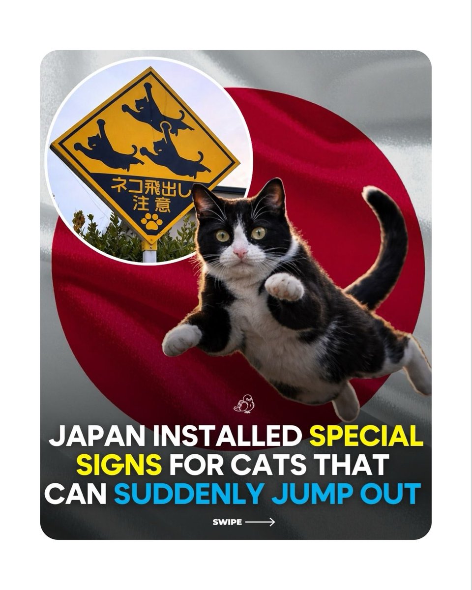 catalystvibes's tweet image. Cat Signs🐱🐾🚸

cr : ig backpacking

#cat #catdesign #funnycat #warningsign #roadsign #meme