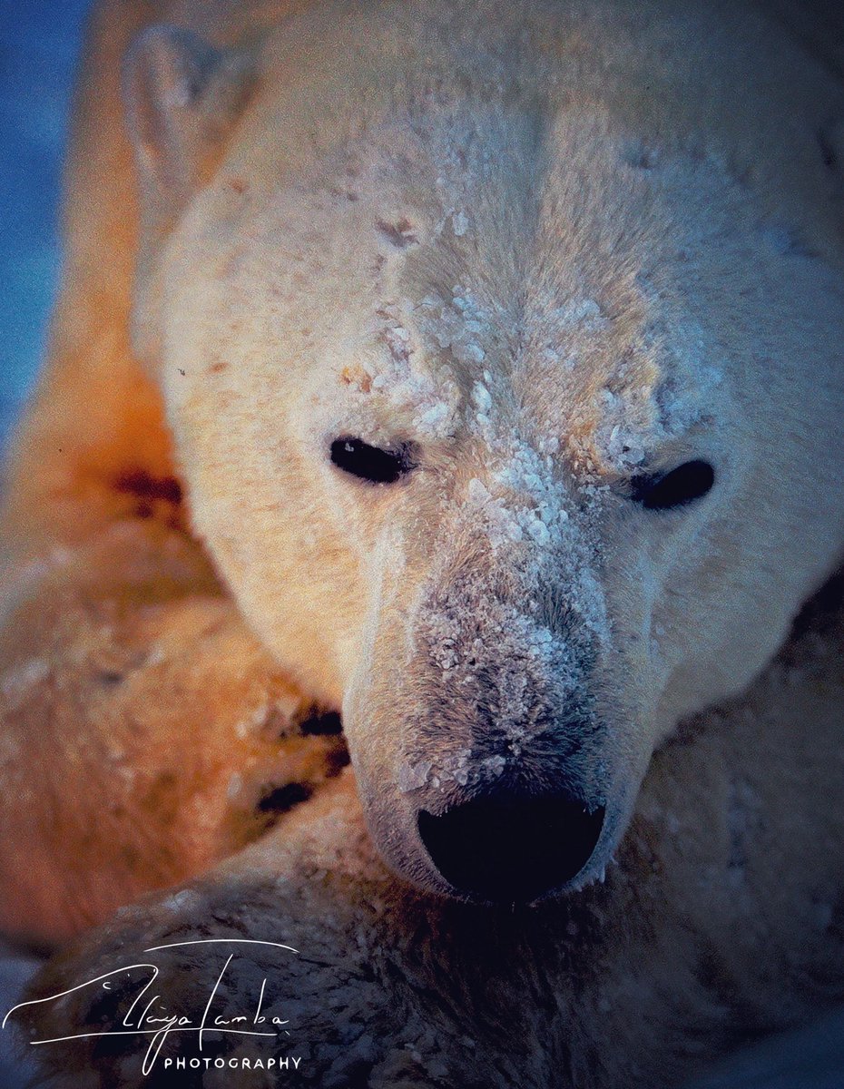 人間は勝手でめんどくさい
自分も勝手でめんどくさい

#戦争反対 #nowar #人間は自分勝手 #人間はめんどくさい #何を言っても良いがその結果傷つく人もいる事を考えろ