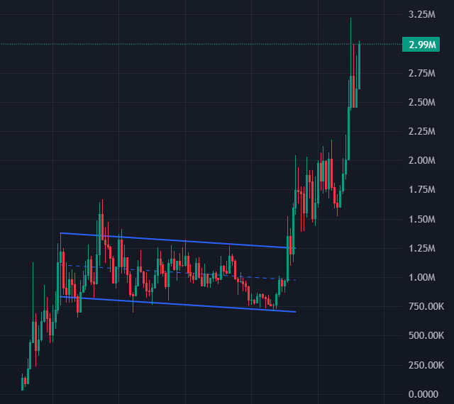 Shrebobo tweet media