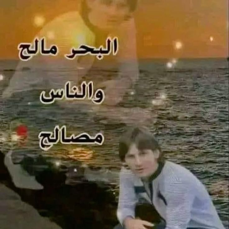 إيڤان tweet media