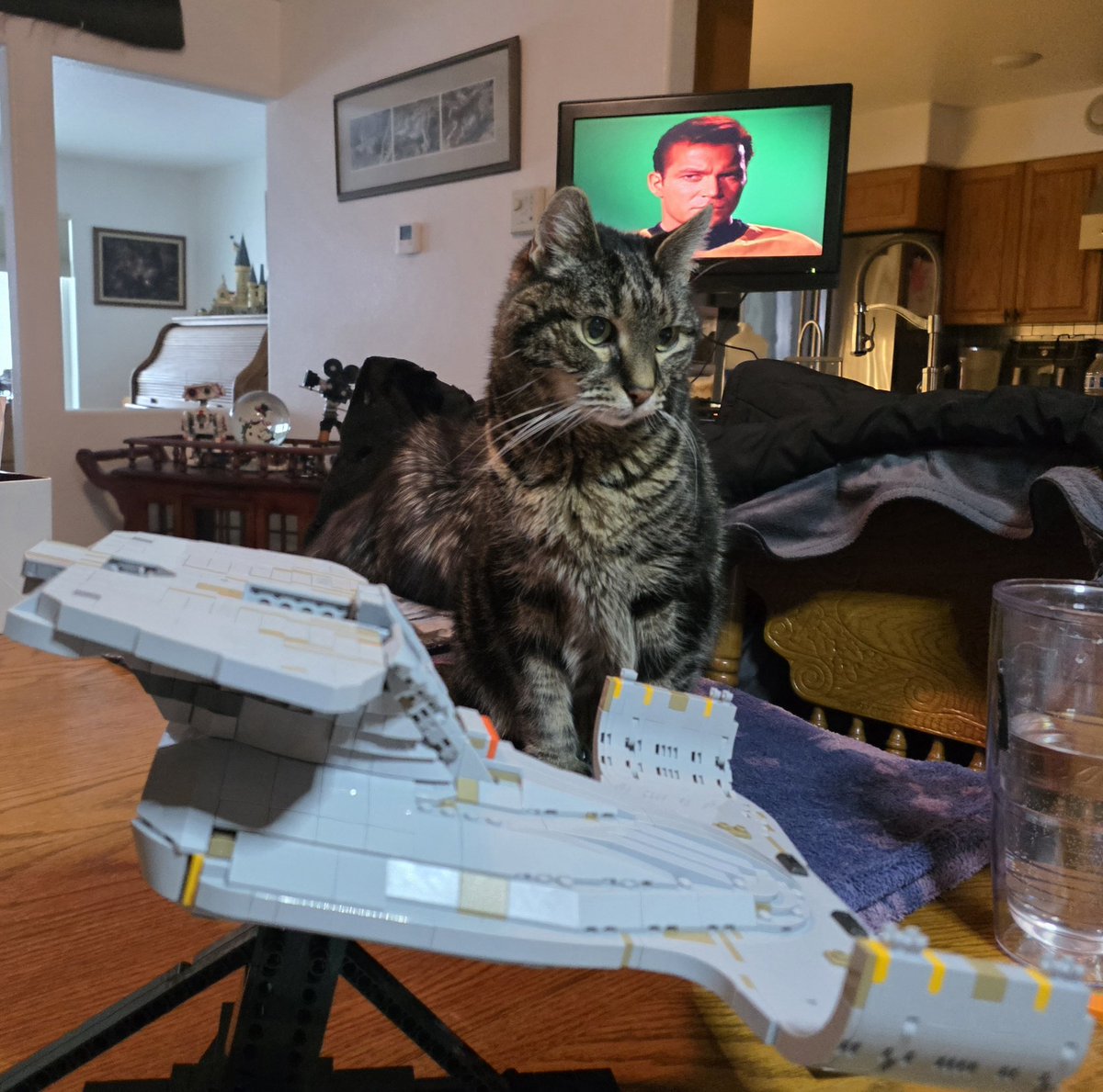 Kevin Tennant KL1PJ tweet media