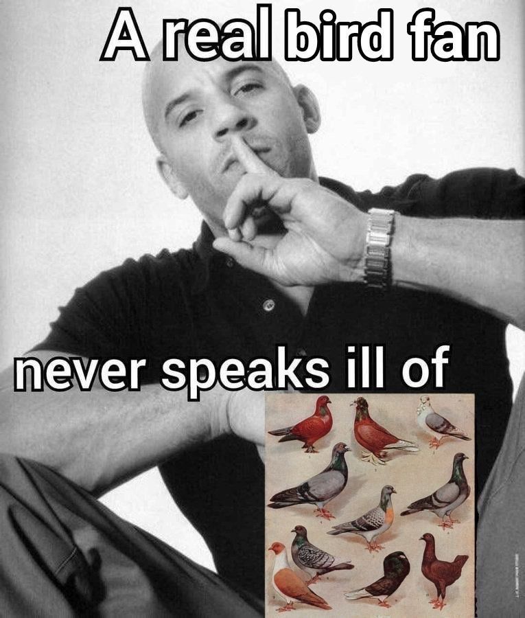 Dabi sending this to Hawks after he curses out some pigeons