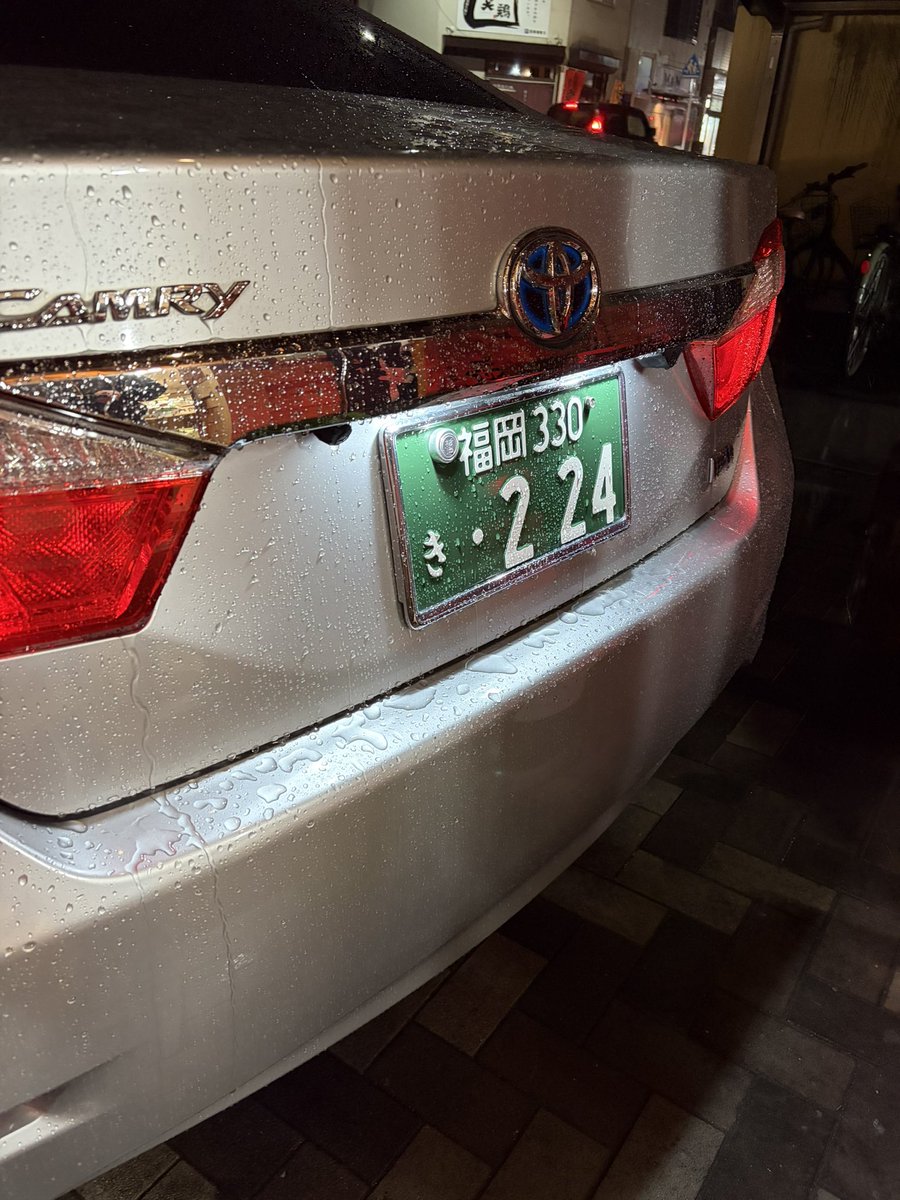 everything tweet media