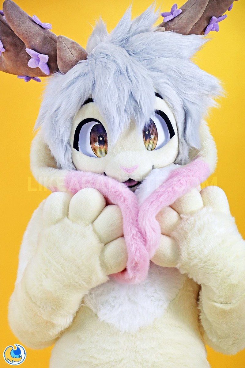 ʟɪᴋᴇ ᴀ ᴘᴀʟᴇᴛᴛᴇ tweet media