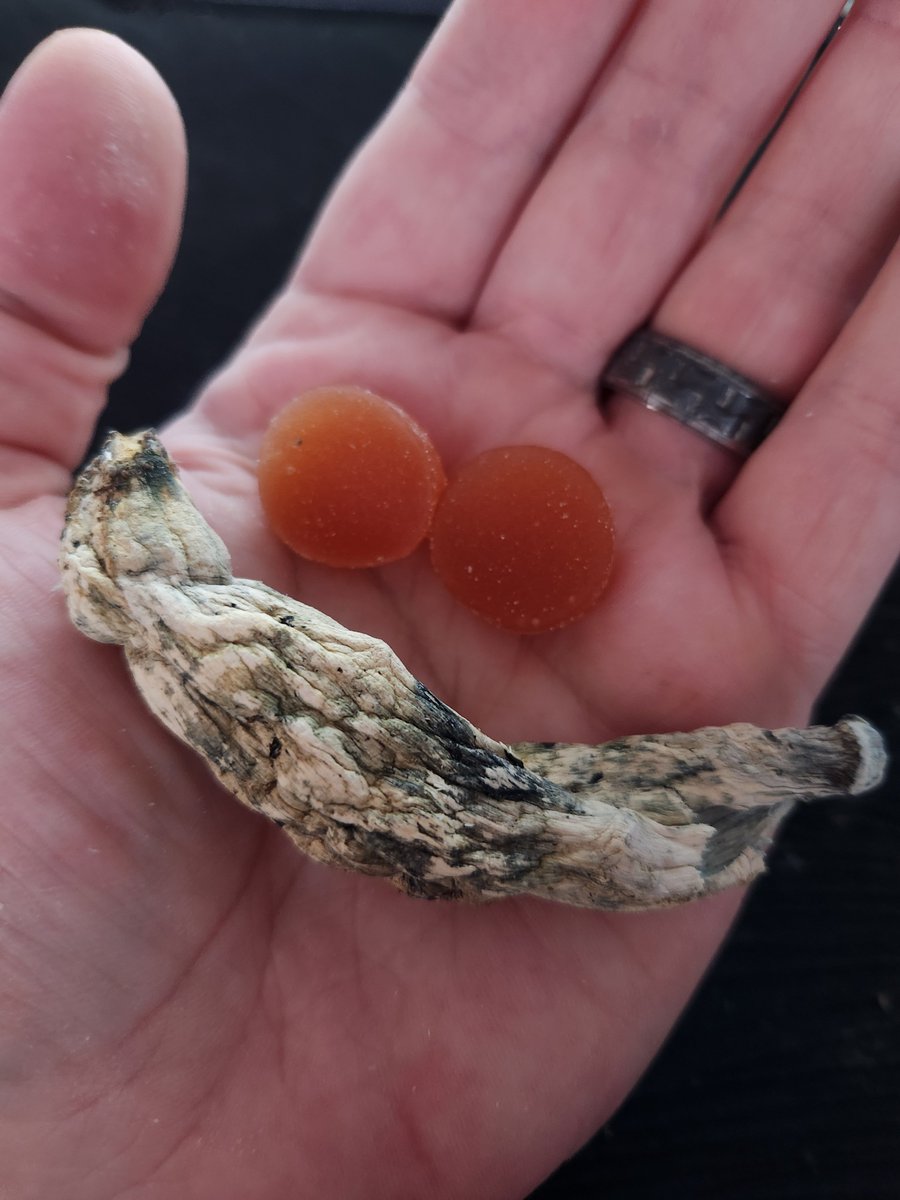 Smiley - Psilocybin is a miracle medicine