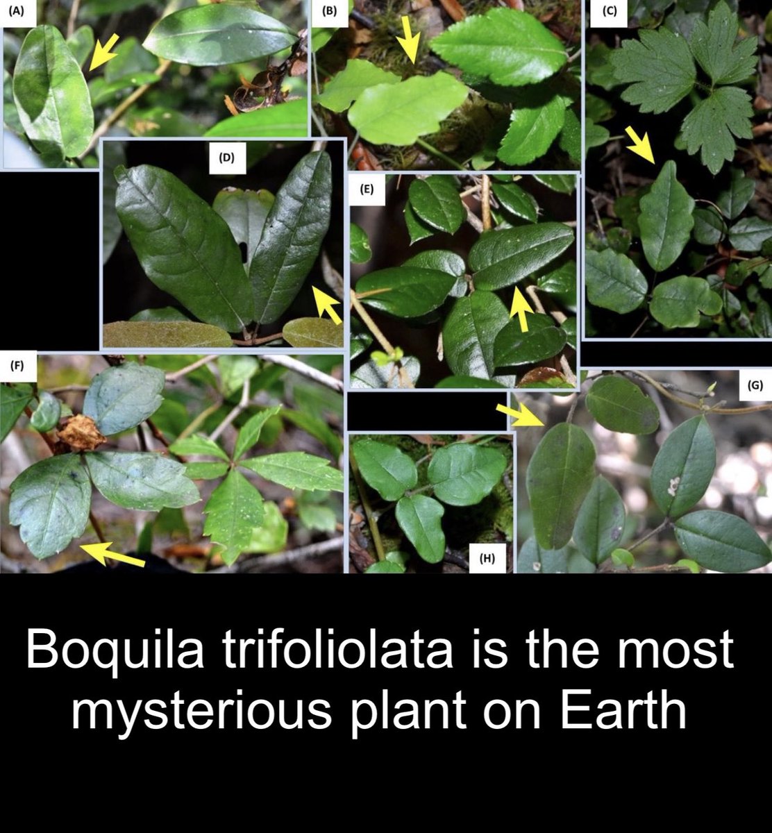 Science girl tweet media