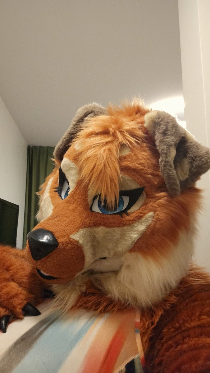 Miss Nathalie 🔜 AWOO 🇦🇹 tweet media