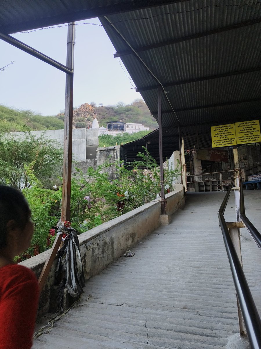 Siya Choudhary tweet media