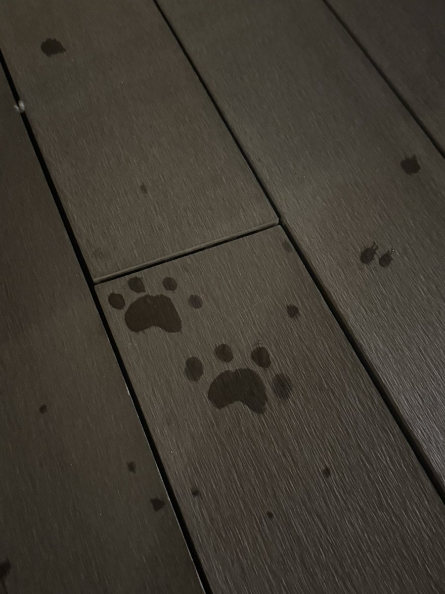 栗丸りんこ tweet media